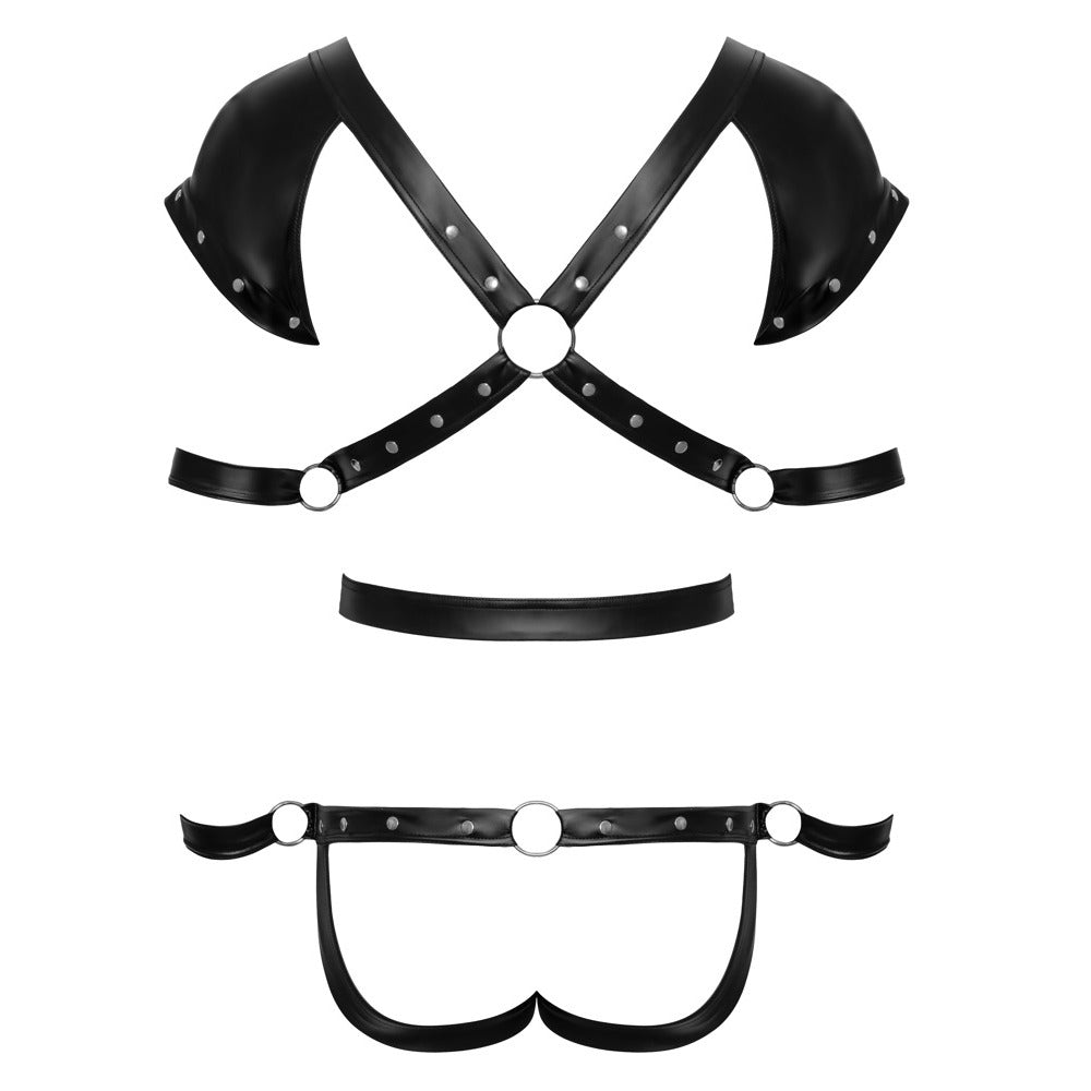 shop bondage restraint body