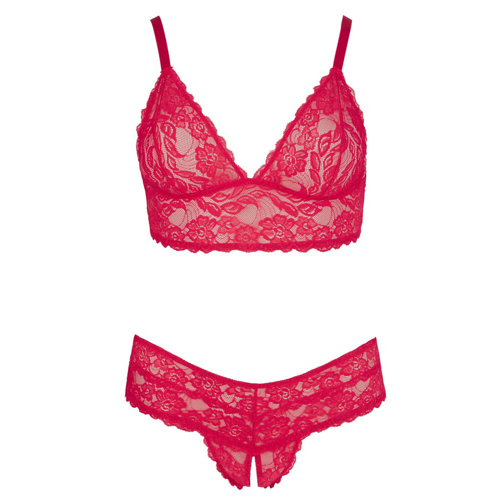 shop cottelli plus size red lace bra and briefs