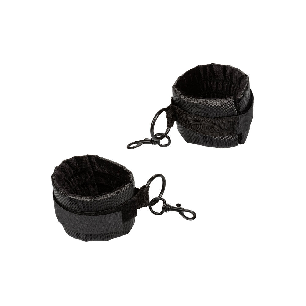best boundless collar body restraint