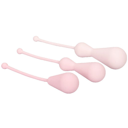 best inspire weighted silicone kegel training kit