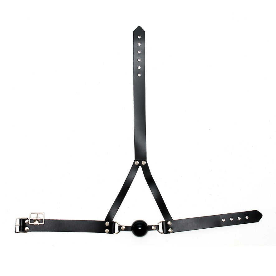 best leather ball gag and head harness