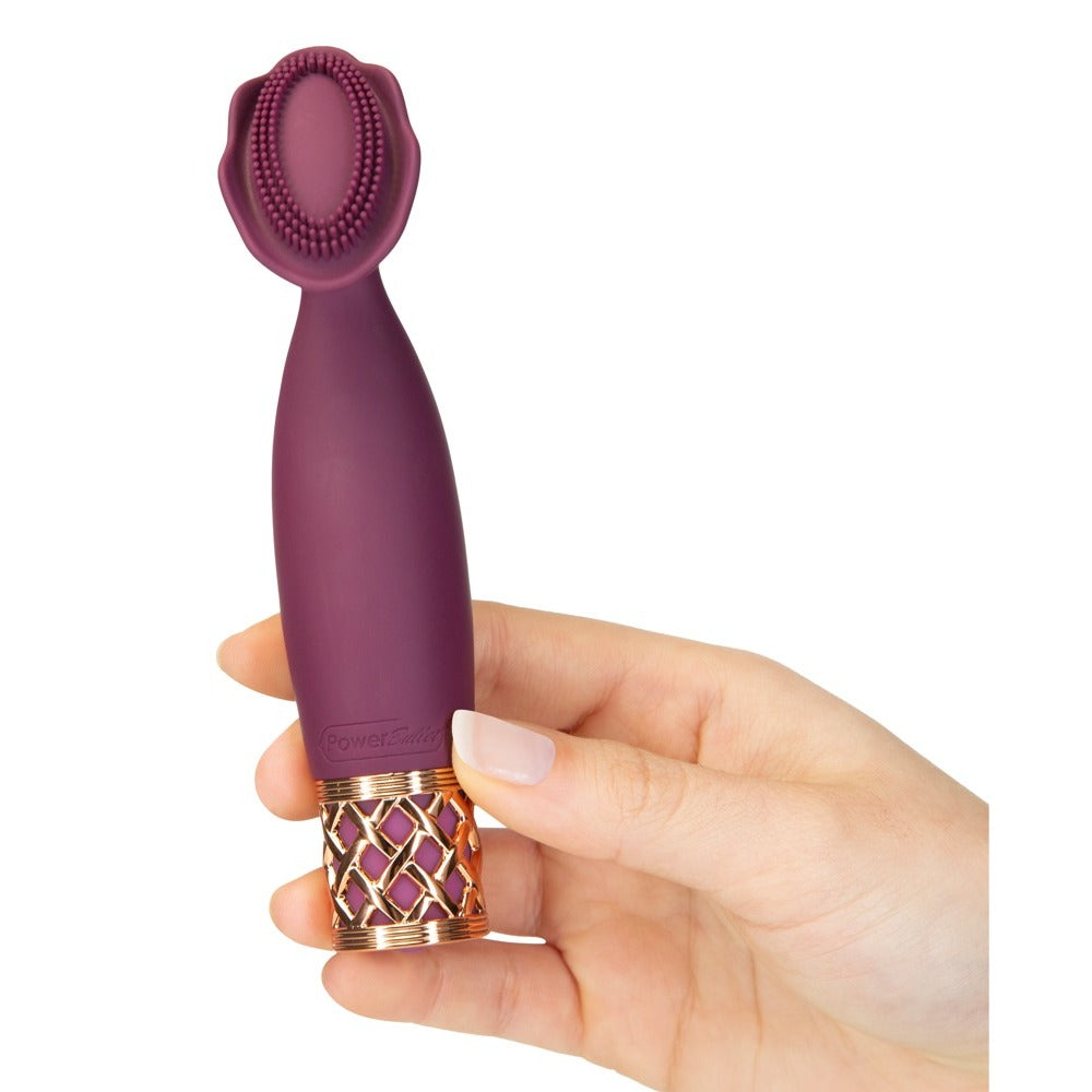 pillow talk secrets passion mini massager