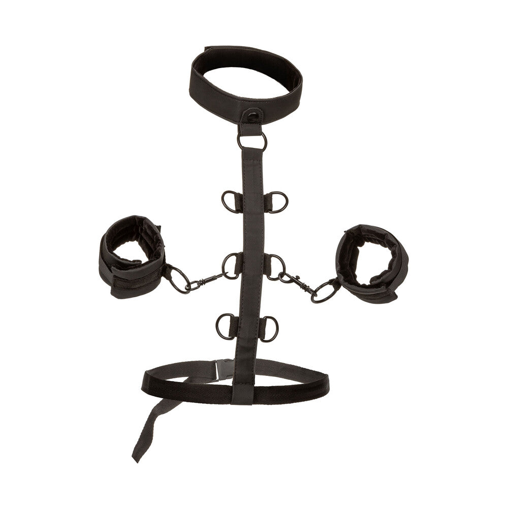 boundless collar body restraint