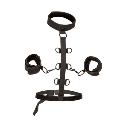 boundless collar body restraint