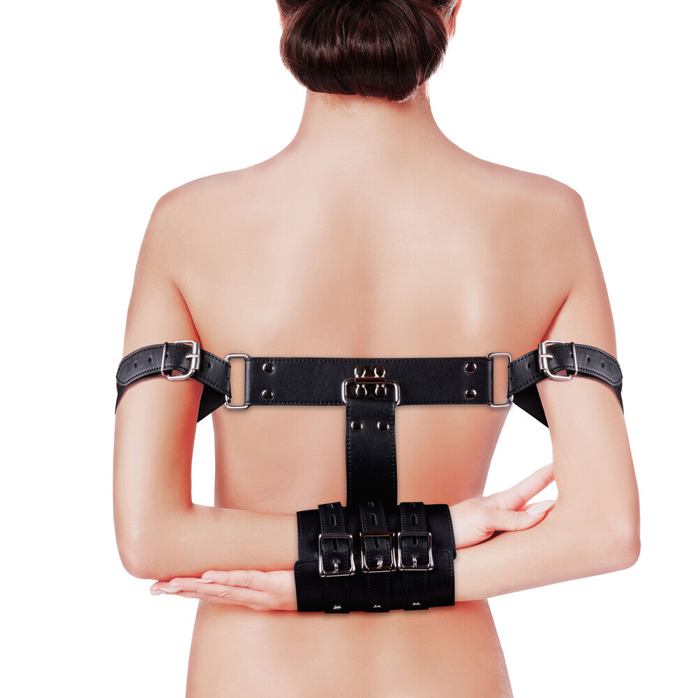 complete arm restraints