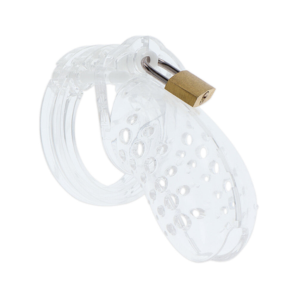 hidden desire extreme chastity cock cage