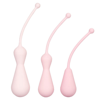 inspire weighted silicone kegel training kit
