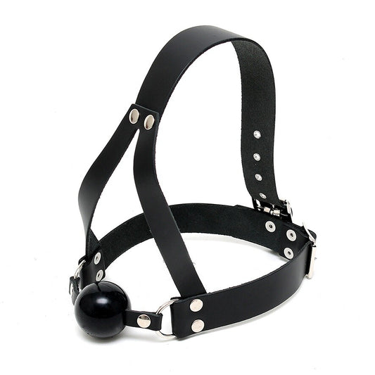 leather ball gag and head harness