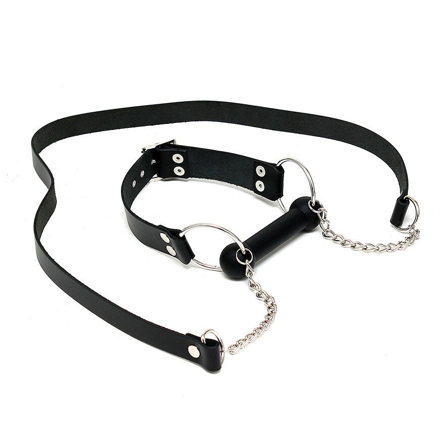 leather horse bit gag and reins