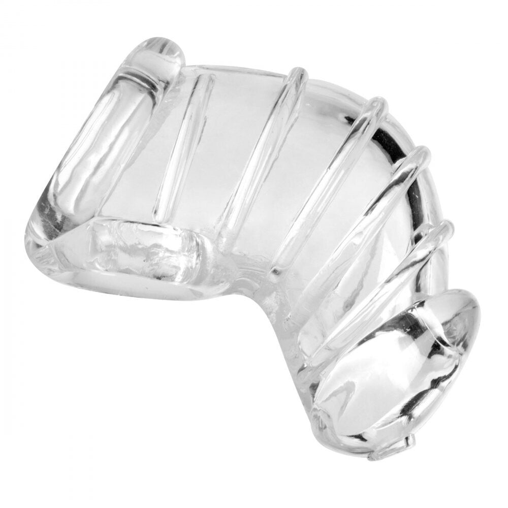 master series detained soft body chastity cage