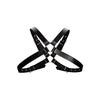 Leather Harness with Large Buckle One Size