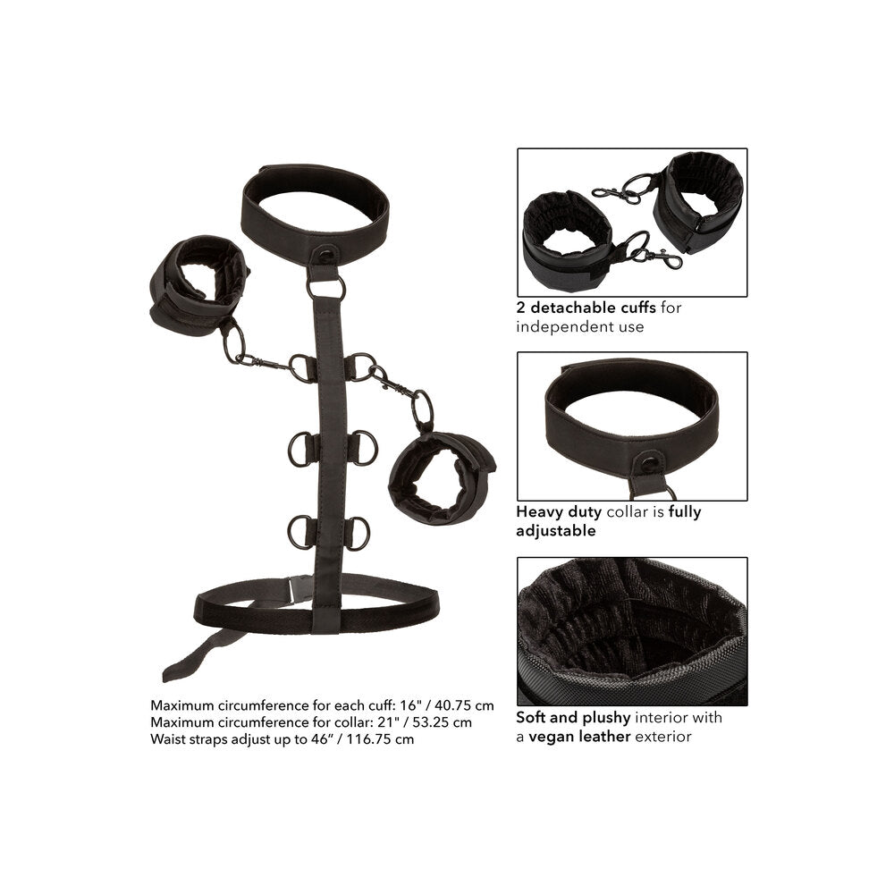 premium boundless collar body restraint