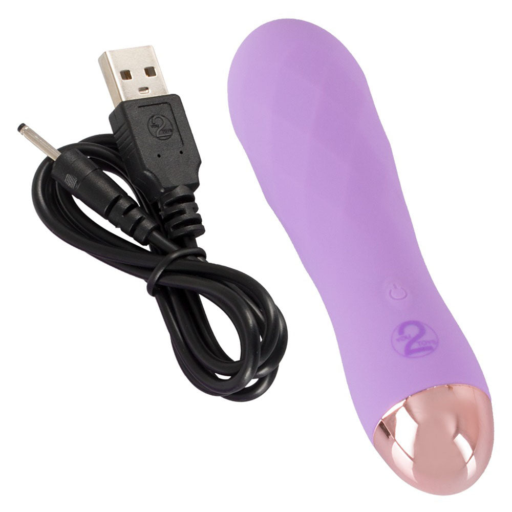 premium cuties silk touch rechargeable mini vibrator purple