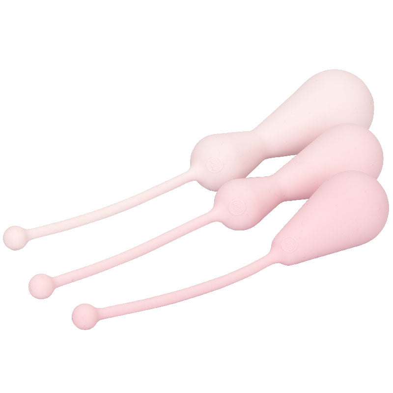 premium inspire weighted silicone kegel training kit