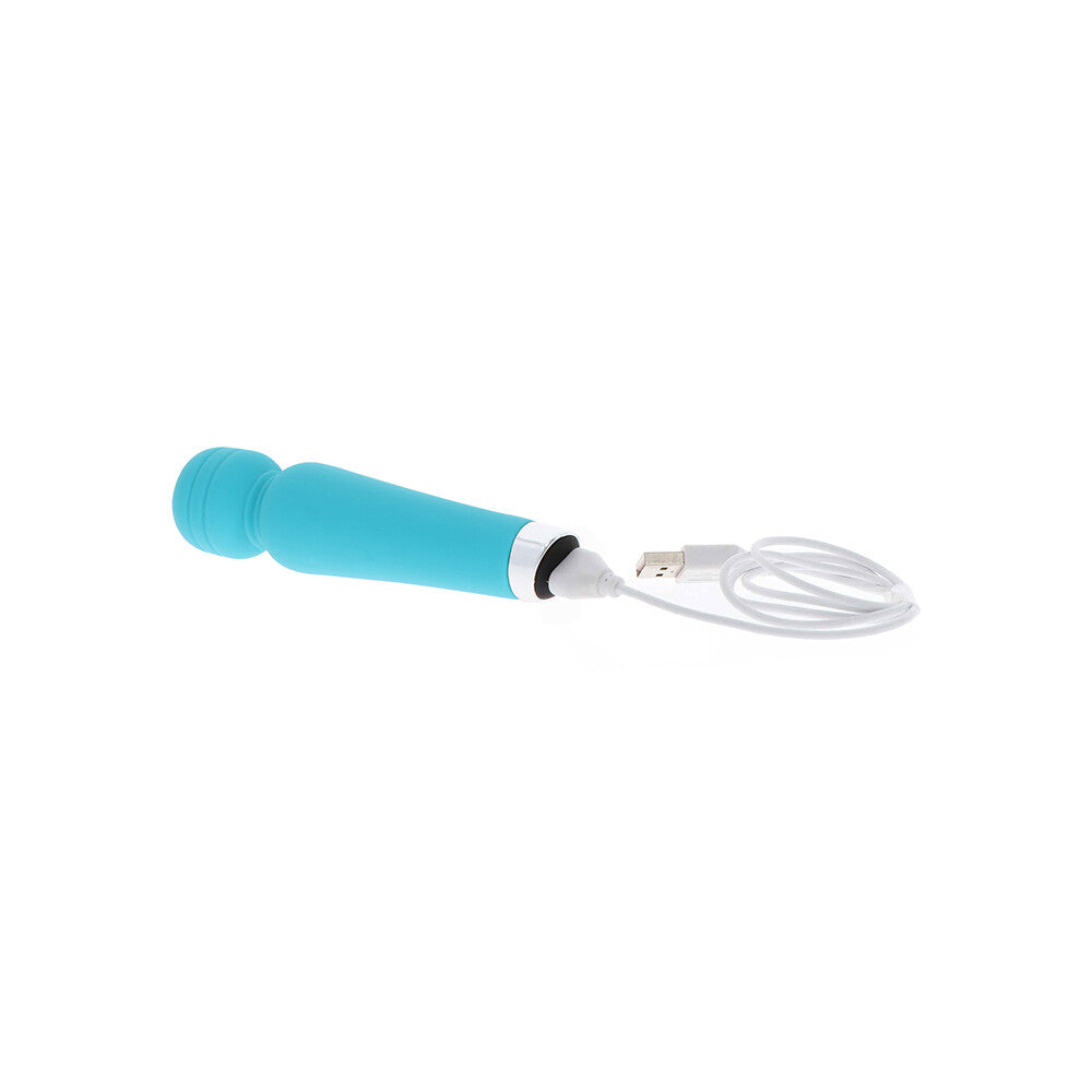 premium toyjoy happiness push my limits mini wand