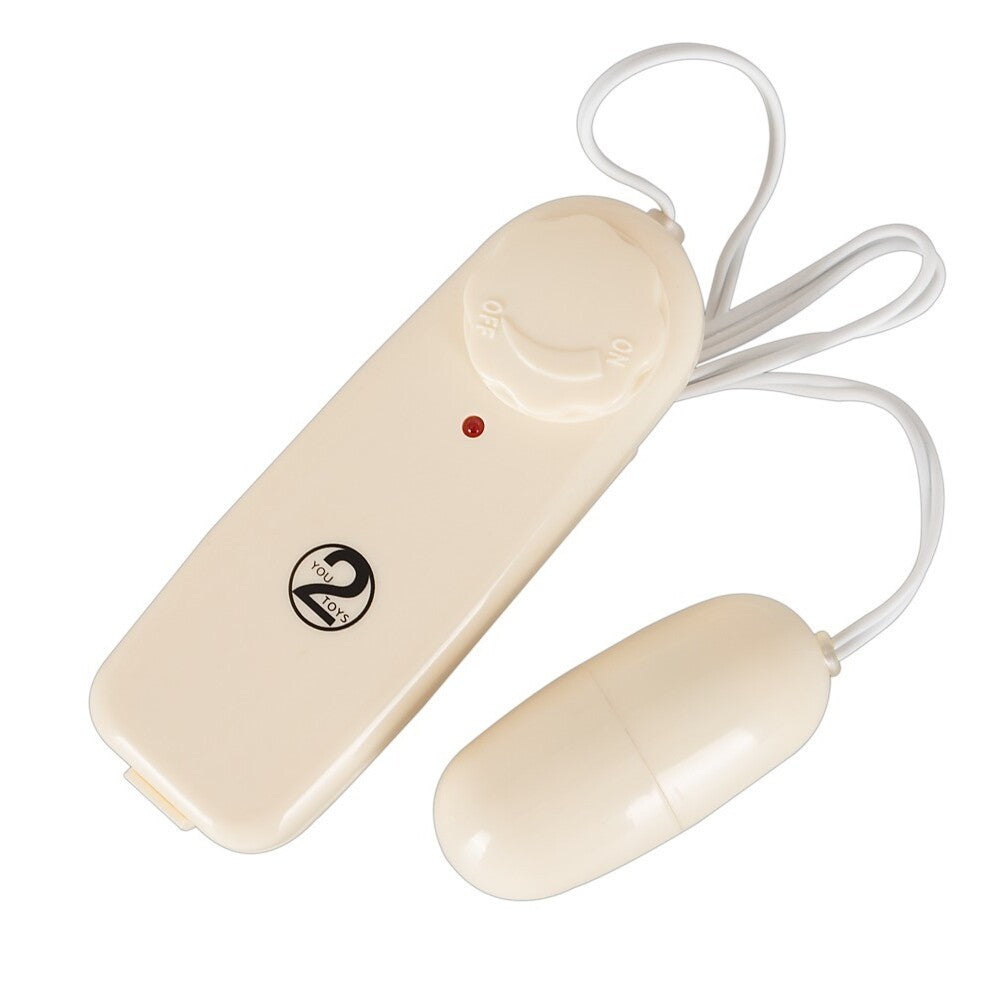 secret service vibrating pleasure bullet