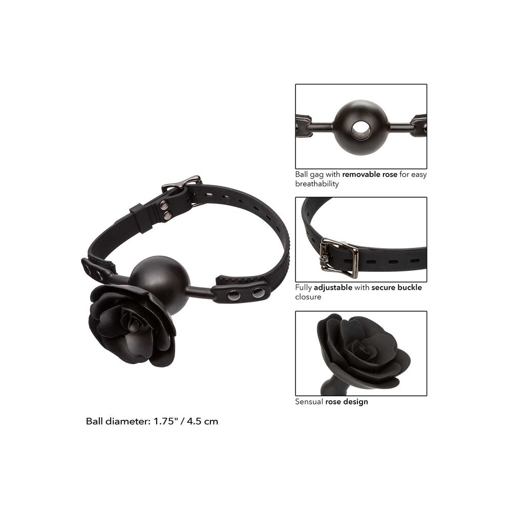 shop calexotics forbidden removable rose gag