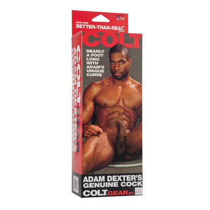 shop colt adam dexters realistic cock dildo