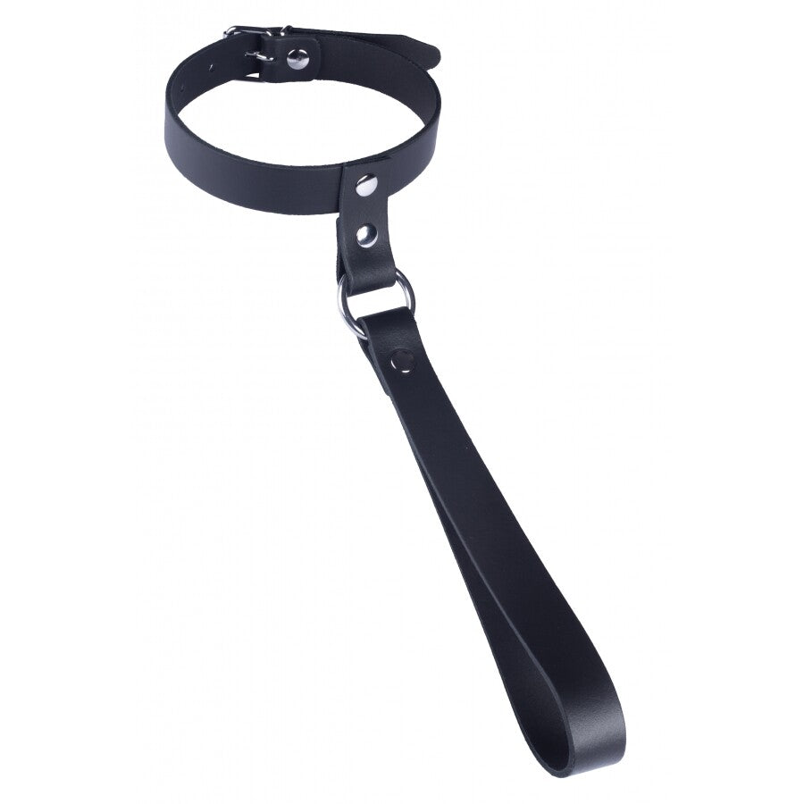 the red leather collar with short leash