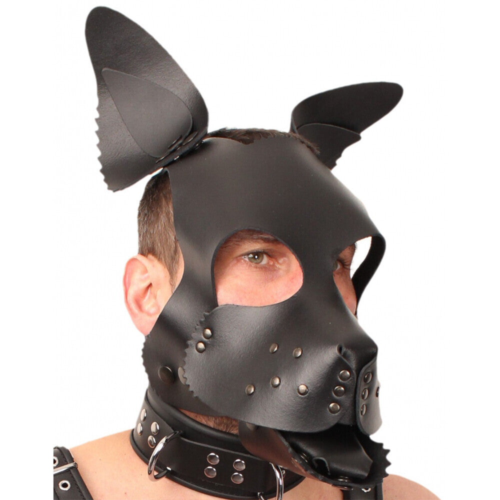 the red leather puppy dog mask