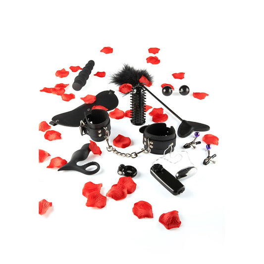 toyjoy amazing pleasure sex toy kit